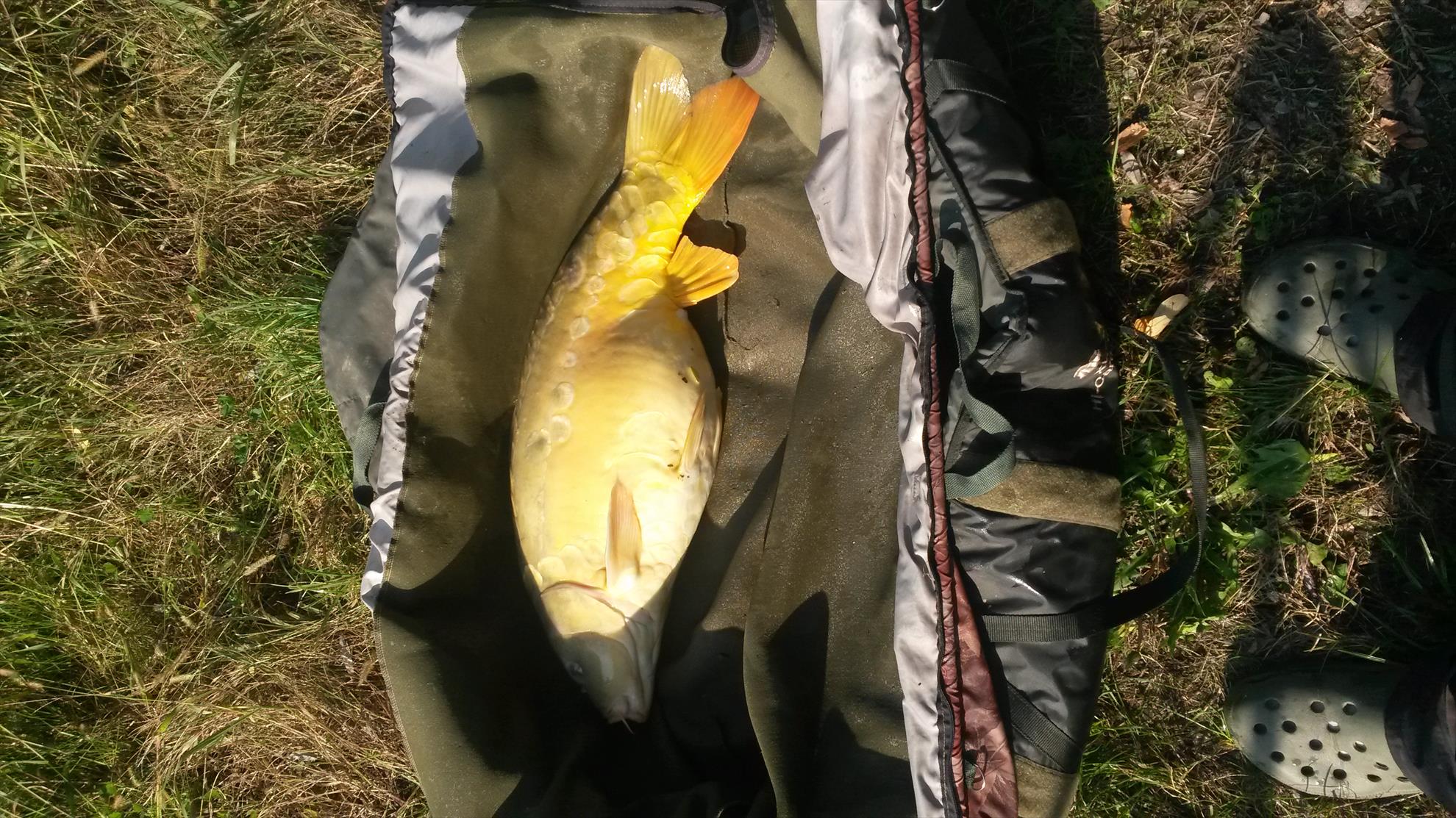 ISOLA DEL PESCATORE 2 - 3 noiembrie 2015 - 20151102115447.jpg